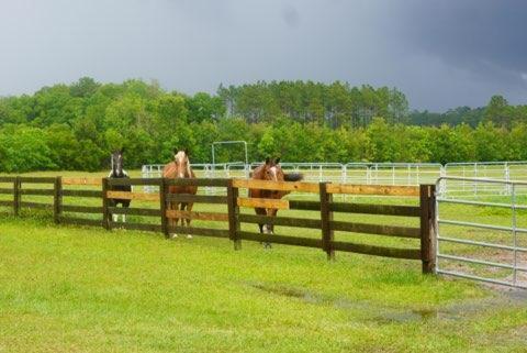 Вілла 7 Cross Ranch Вейкросс Екстер'єр фото